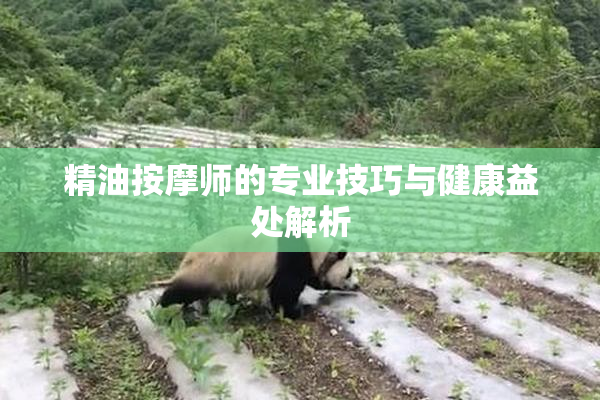 精油按摩师的专业技巧与健康益处解析