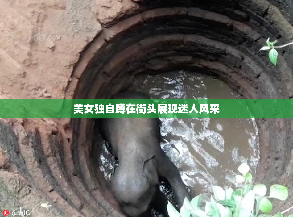 美女独自蹲在街头展现迷人风采