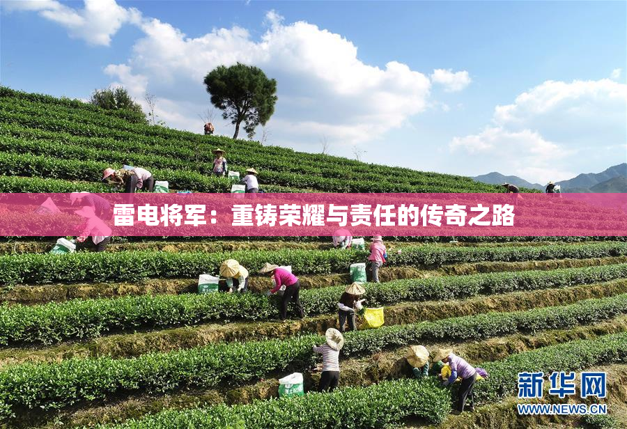 雷电将军：重铸荣耀与责任的传奇之路