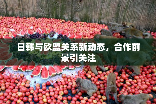 日韩与欧盟关系新动态，合作前景引关注