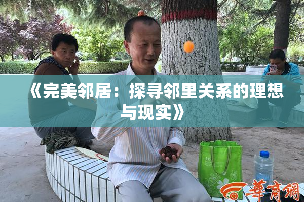 《完美邻居：探寻邻里关系的理想与现实》