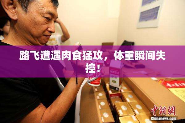 路飞遭遇肉食猛攻，体重瞬间失控！