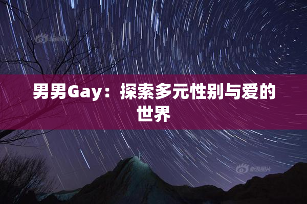 男男Gay：探索多元性别与爱的世界