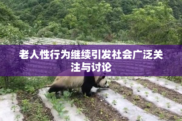 老人性行为继续引发社会广泛关注与讨论