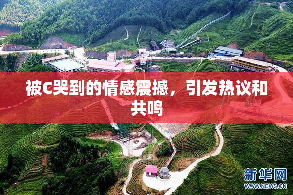 被C哭到的情感震撼，引发热议和共鸣