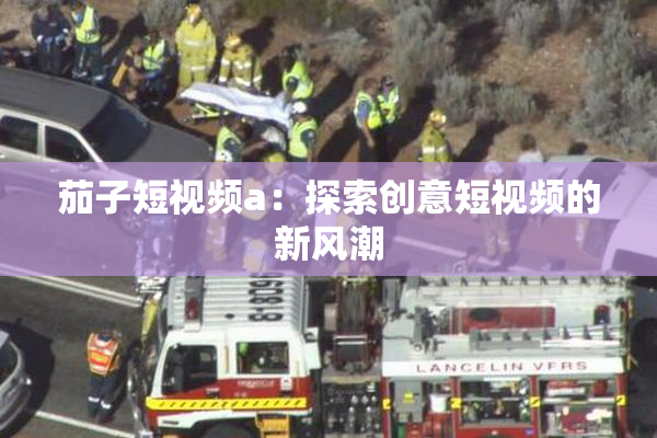 茄子短视频a：探索创意短视频的新风潮
