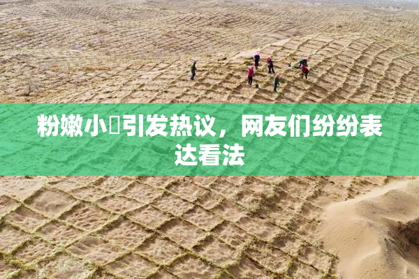 粉嫩小泬引发热议，网友们纷纷表达看法