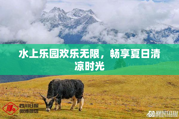 水上乐园欢乐无限，畅享夏日清凉时光