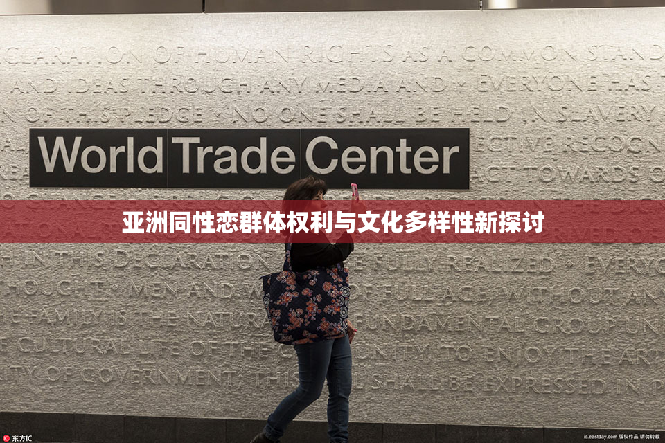 亚洲同性恋群体权利与文化多样性新探讨