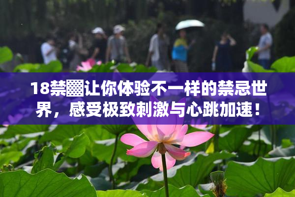 18禁▓让你体验不一样的禁忌世界，感受极致刺激与心跳加速！