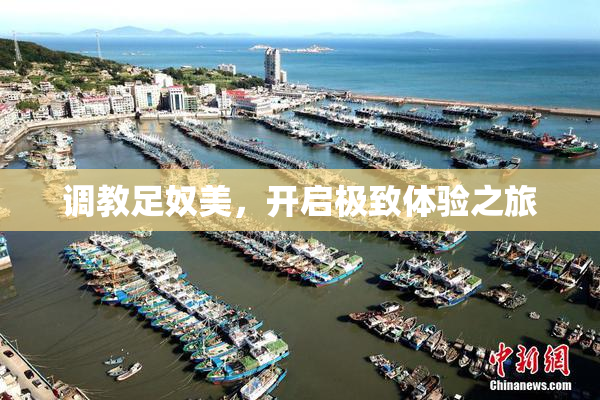 调教足奴美，开启极致体验之旅