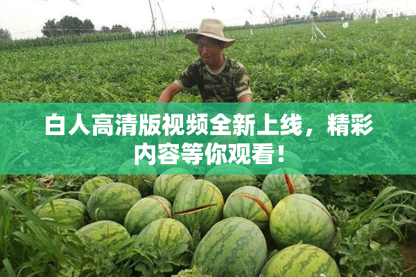白人高清版视频全新上线，精彩内容等你观看！
