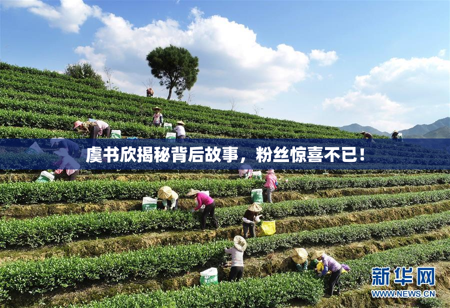 虞书欣揭秘背后故事，粉丝惊喜不已！