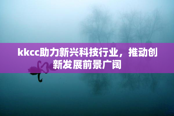 kkcc助力新兴科技行业，推动创新发展前景广阔