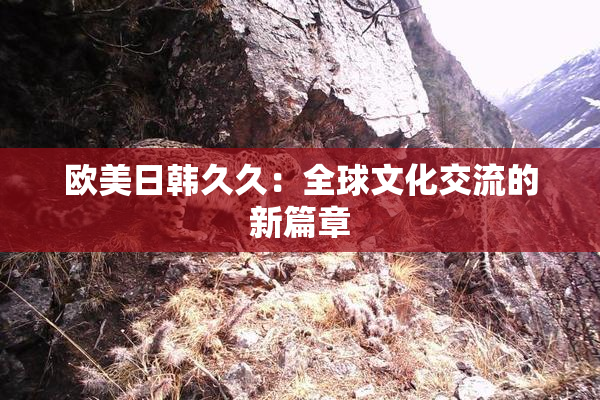 欧美日韩久久：全球文化交流的新篇章