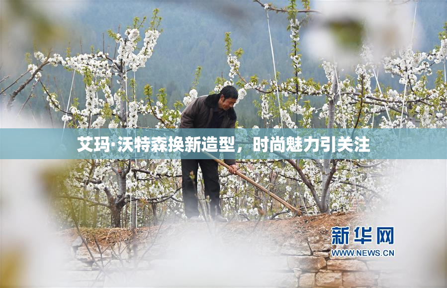 艾玛·沃特森换新造型，时尚魅力引关注