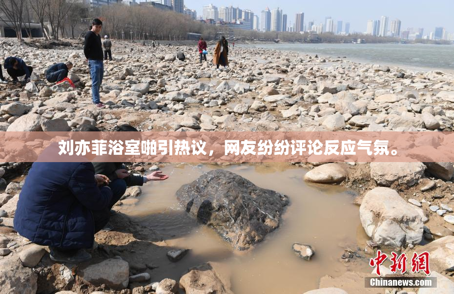 刘亦菲浴室啪引热议，网友纷纷评论反应气氛。