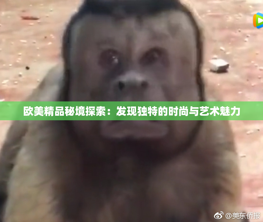 欧美精品秘境探索：发现独特的时尚与艺术魅力