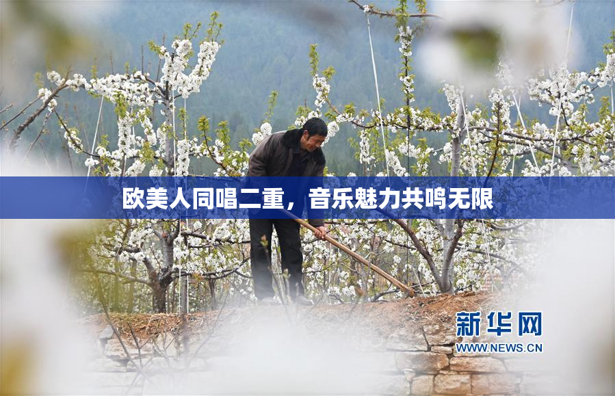 欧美人同唱二重，音乐魅力共鸣无限