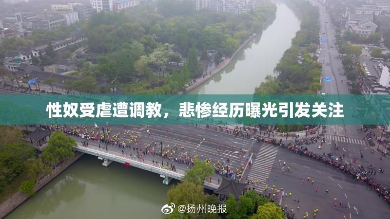 性奴受虐遭调教，悲惨经历曝光引发关注