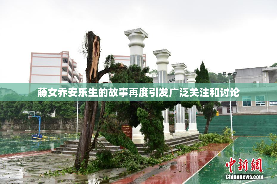 藤女乔安乐生的故事再度引发广泛关注和讨论