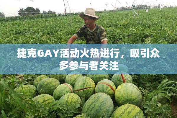 捷克GAY活动火热进行，吸引众多参与者关注