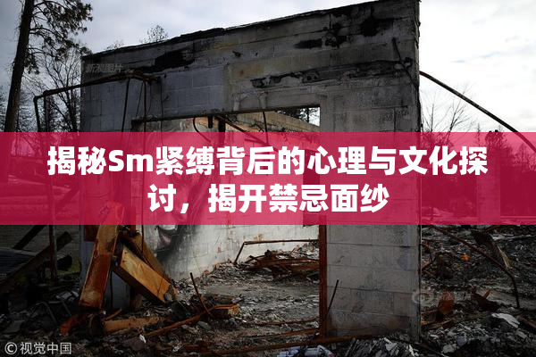 揭秘Sm紧缚背后的心理与文化探讨，揭开禁忌面纱