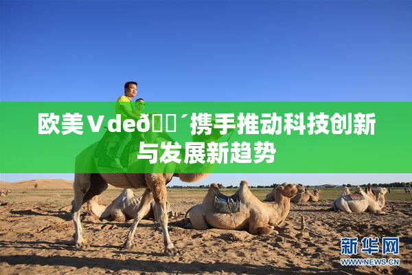 欧美Ⅴde🔴携手推动科技创新与发展新趋势