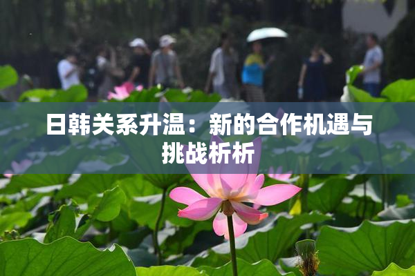 日韩关系升温：新的合作机遇与挑战析析
