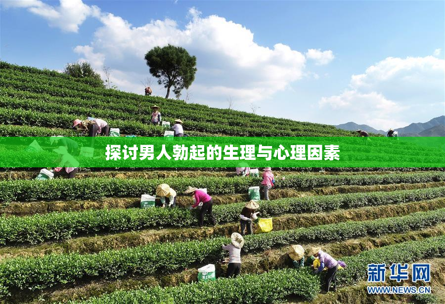 探讨男人勃起的生理与心理因素