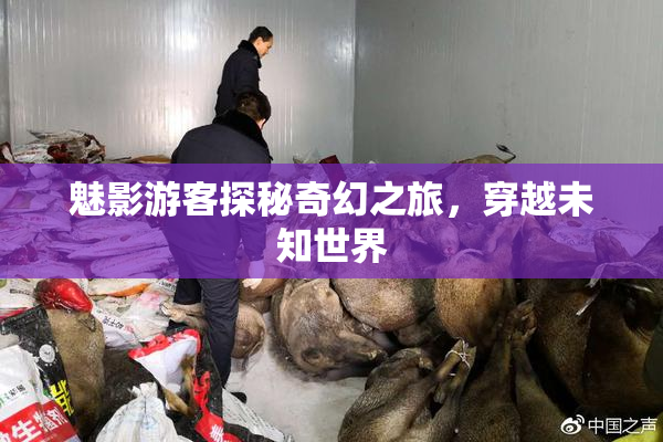 魅影游客探秘奇幻之旅，穿越未知世界