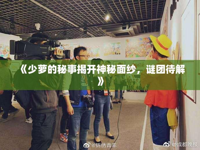 《少萝的秘事揭开神秘面纱，谜团待解》