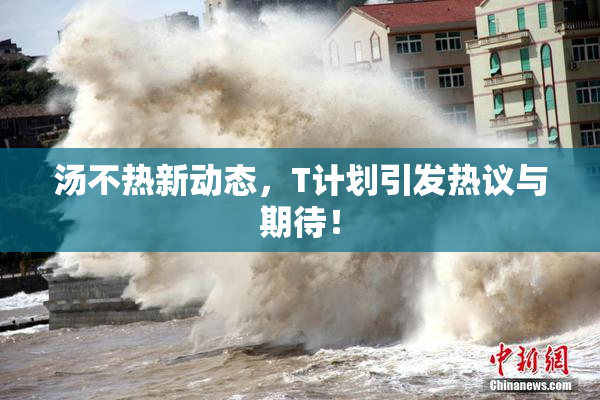 汤不热新动态，T计划引发热议与期待！