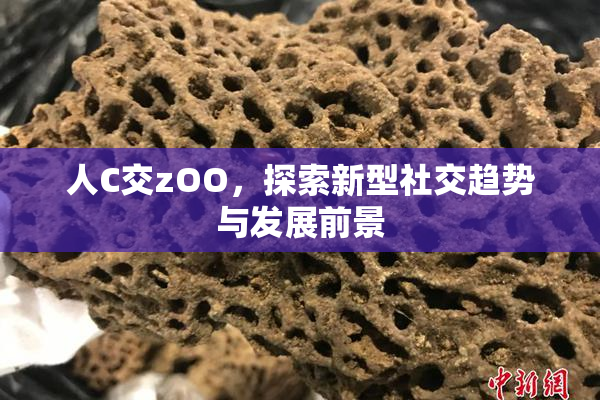 人C交zOO，探索新型社交趋势与发展前景