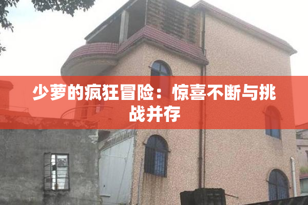 少萝的疯狂冒险：惊喜不断与挑战并存