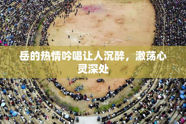岳的热情吟唱让人沉醉，激荡心灵深处
