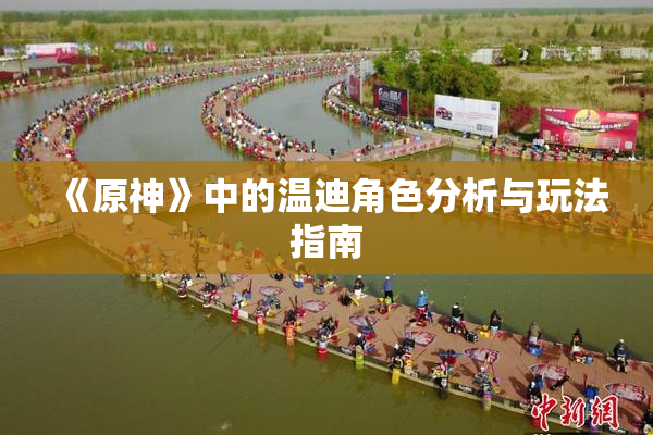 《原神》中的温迪角色分析与玩法指南