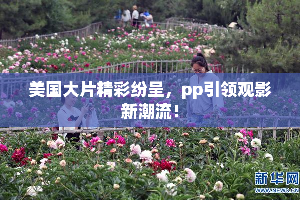 美国大片精彩纷呈，pp引领观影新潮流！