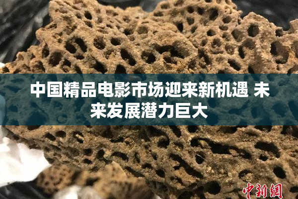 中国精品电影市场迎来新机遇 未来发展潜力巨大