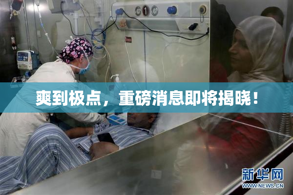 爽到极点，重磅消息即将揭晓！