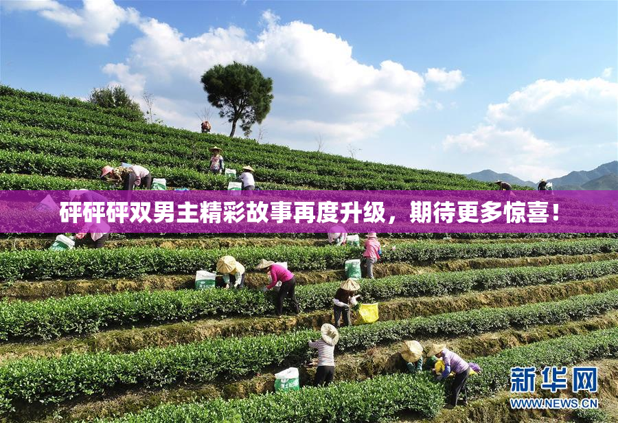 砰砰砰双男主精彩故事再度升级，期待更多惊喜！