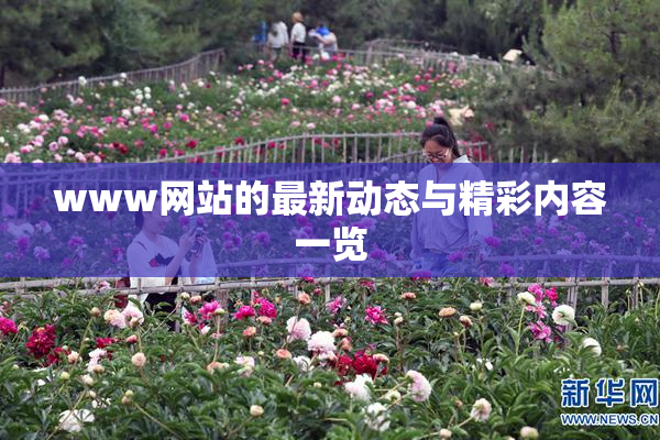 www网站的最新动态与精彩内容一览