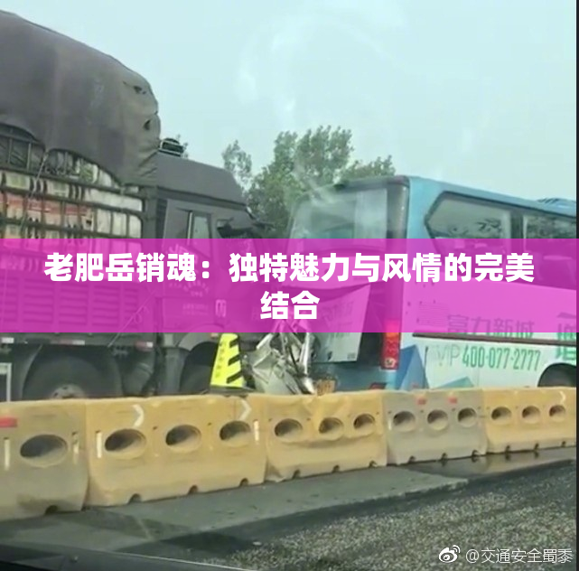 老肥岳销魂：独特魅力与风情的完美结合