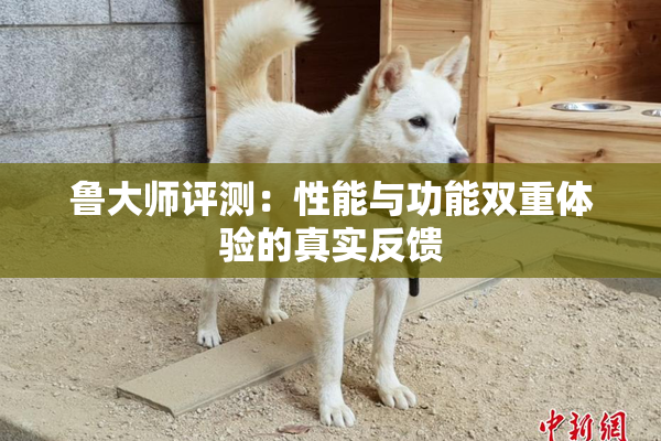 鲁大师评测：性能与功能双重体验的真实反馈