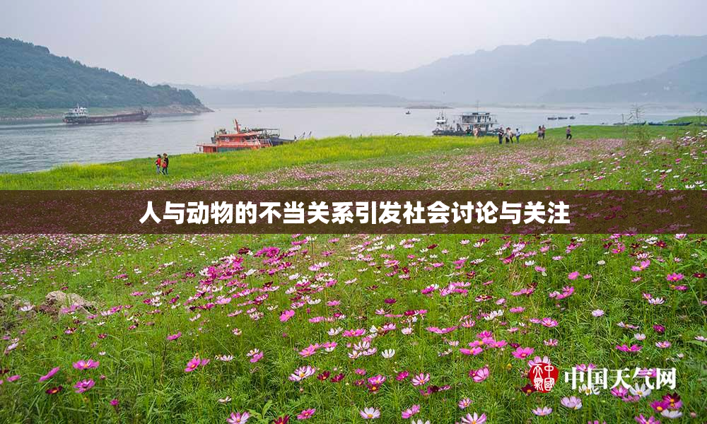 人与动物的不当关系引发社会讨论与关注