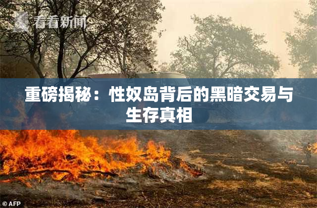 重磅揭秘：性奴岛背后的黑暗交易与生存真相