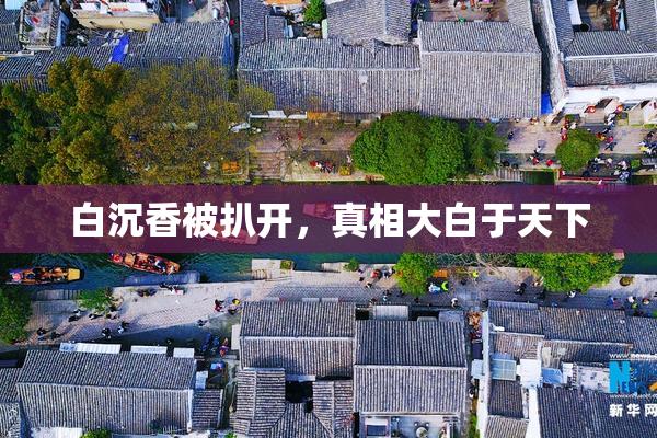 白沉香被扒开，真相大白于天下