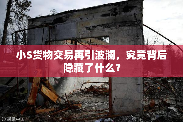 小S货物交易再引波澜，究竟背后隐藏了什么？