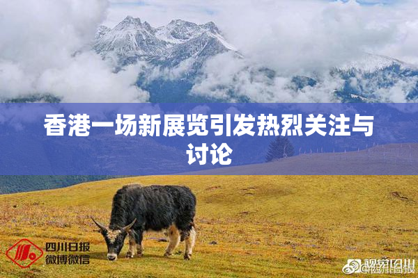 香港一场新展览引发热烈关注与讨论