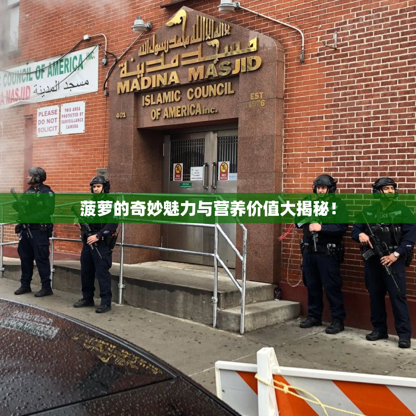 菠萝的奇妙魅力与营养价值大揭秘！